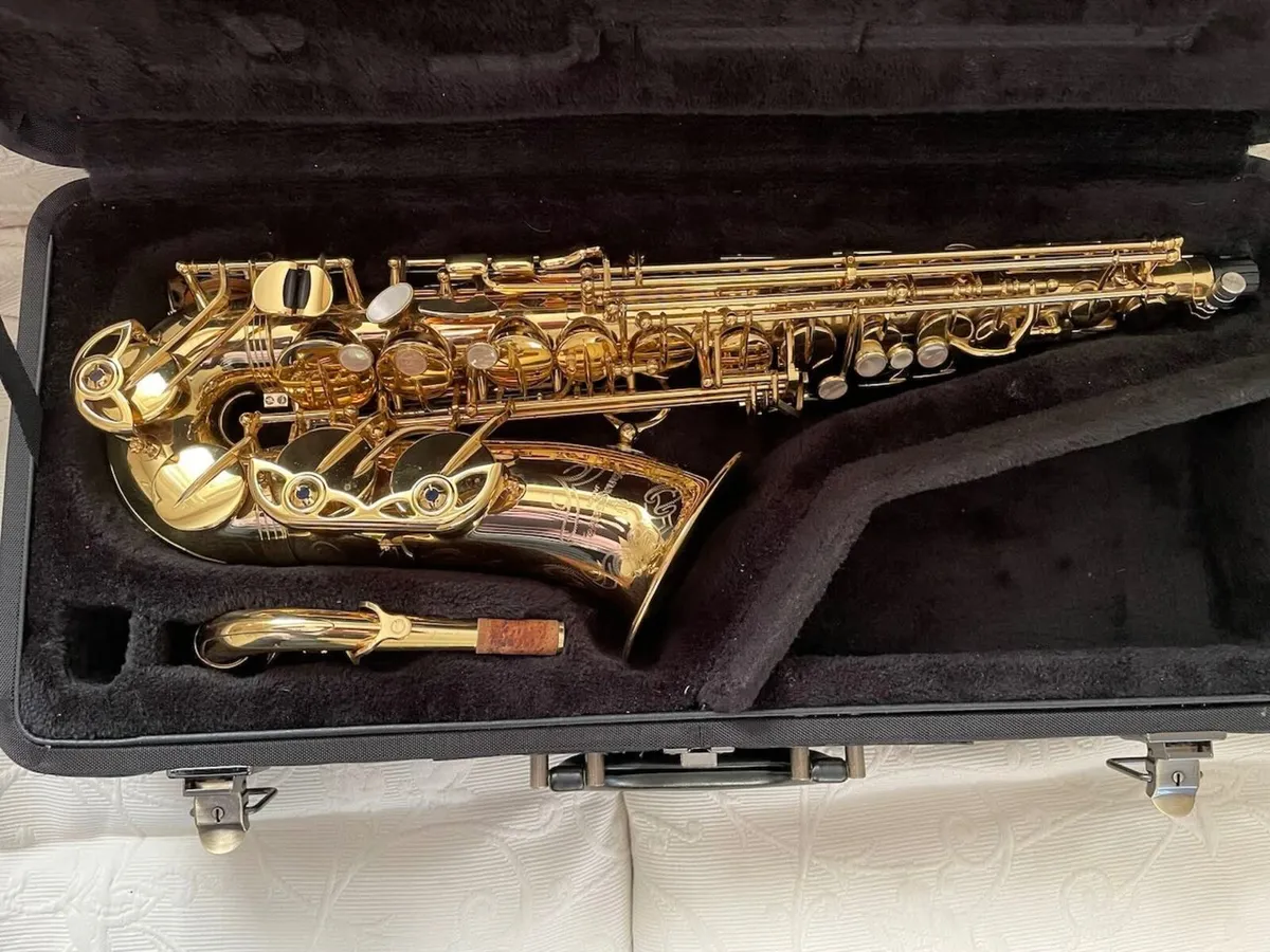 Yanigasawa AW010 Alto Sax - Image 1