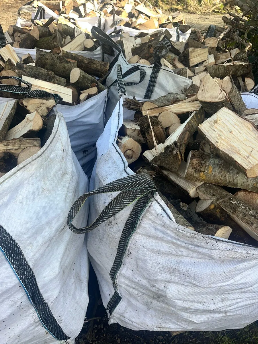 Ash season tonne bags of firewood - Image 4