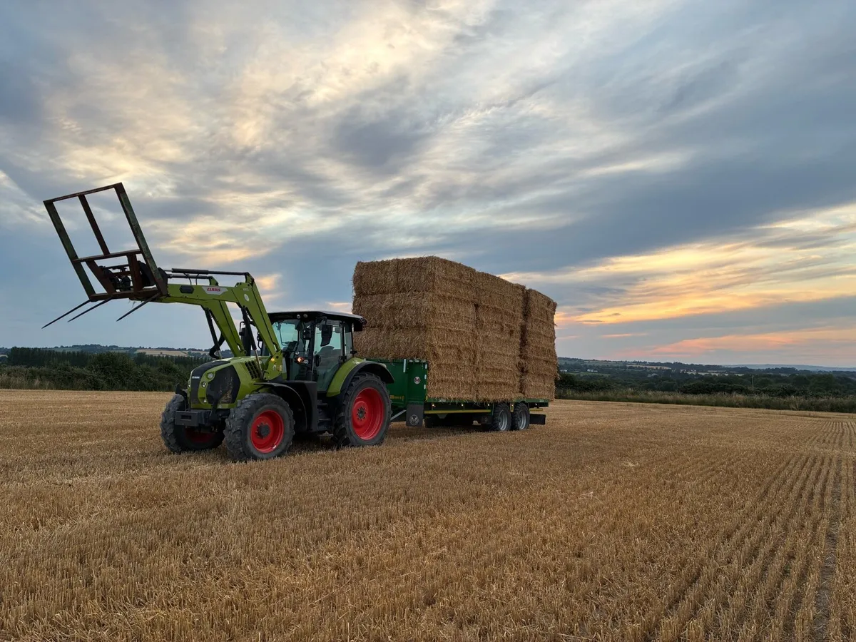 Straw & hay - Image 1