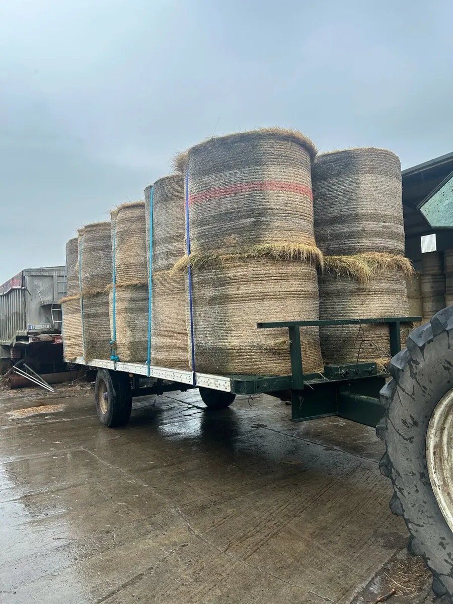 Bale trailer - Image 1