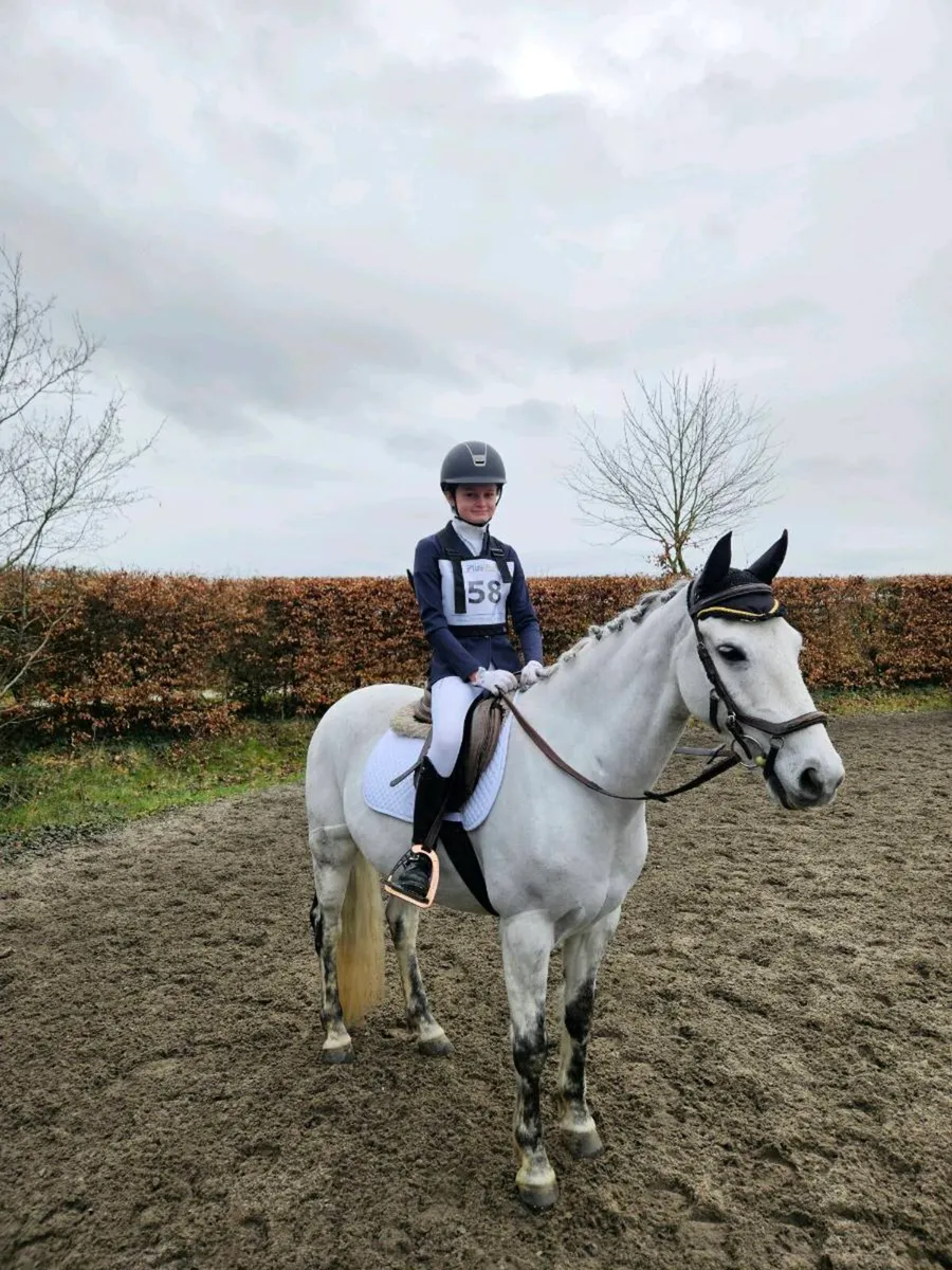 13.2 Eventing Pony - Image 1