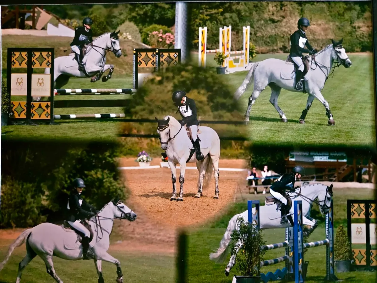 13.2 Eventing Pony - Image 3