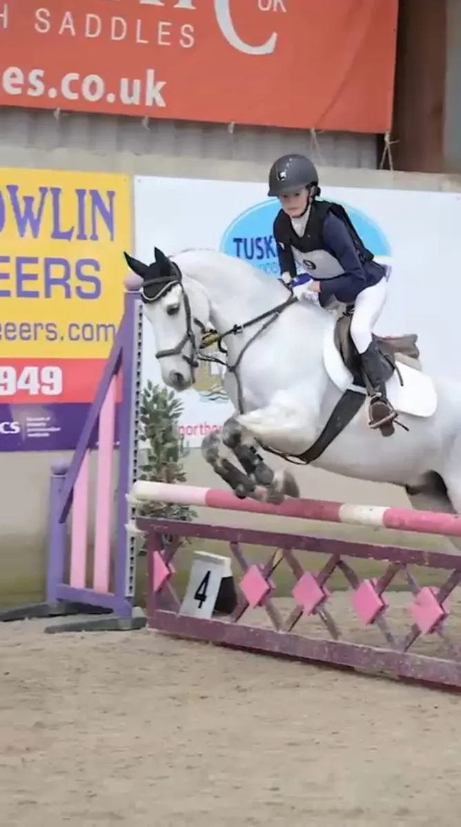 13.2 Eventing Pony - Image 4