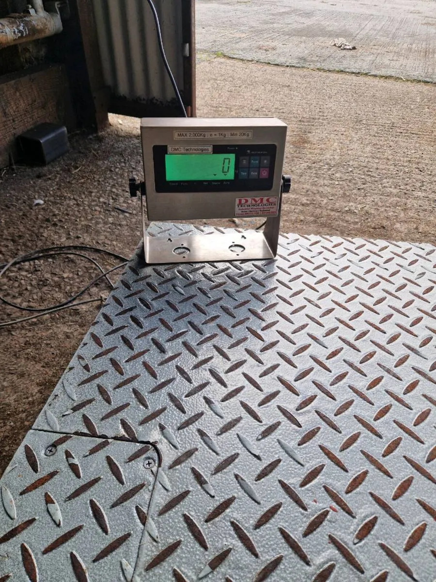 Platform weighing scales - Image 1