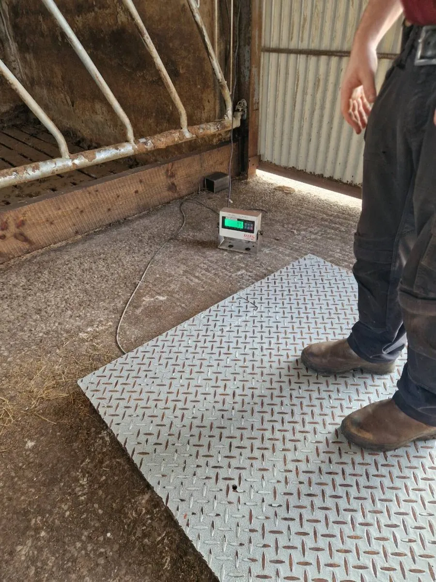 Platform weighing scales - Image 2