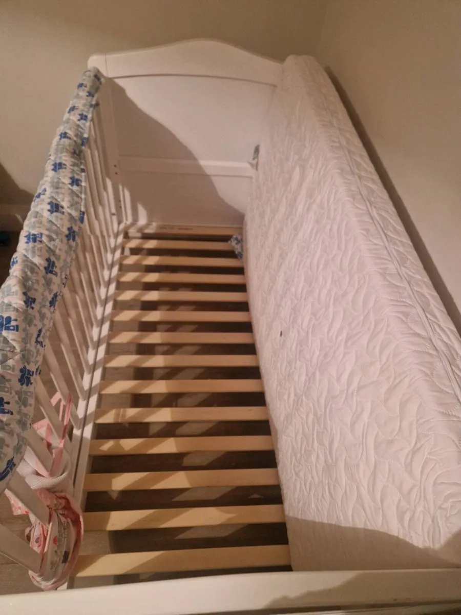 Cot - Image 3