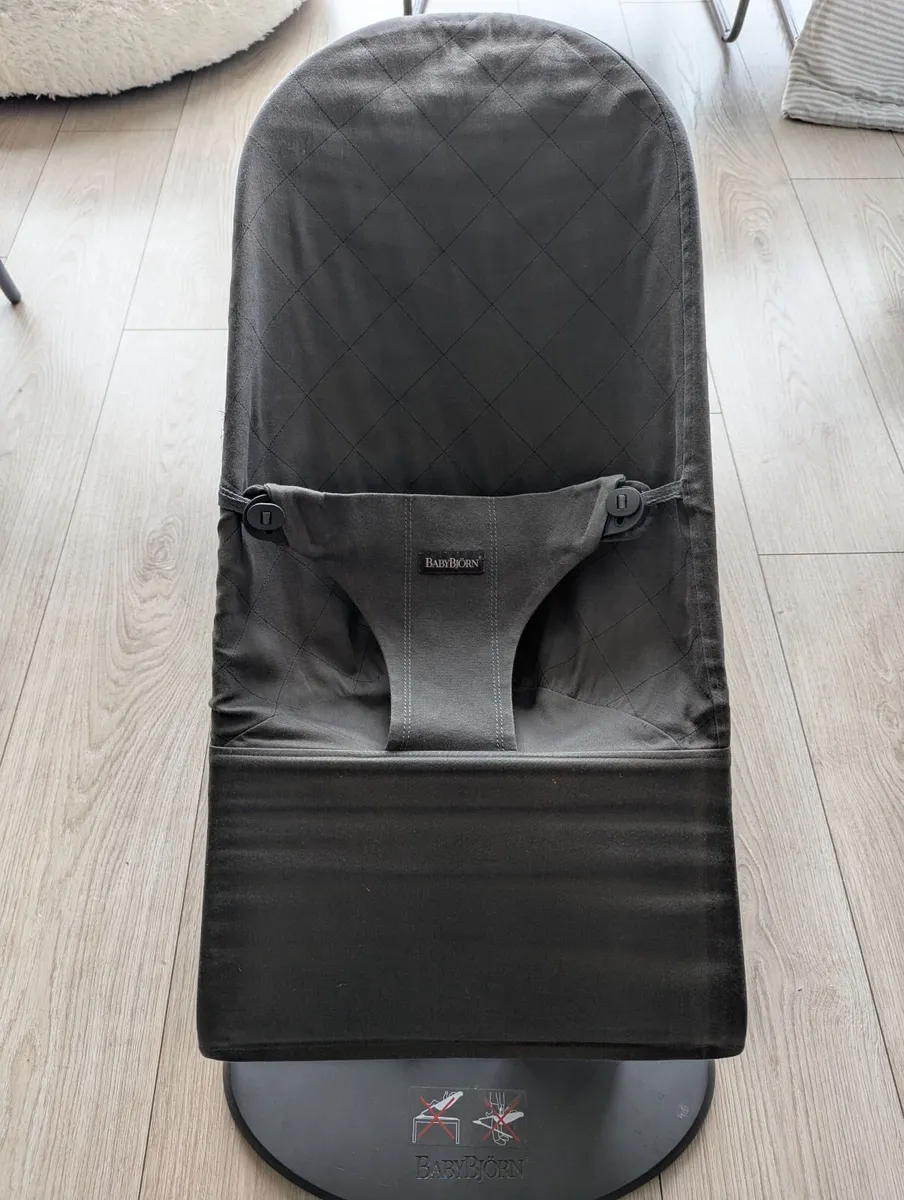 BabyBjörn Baby Bouncer - Image 1