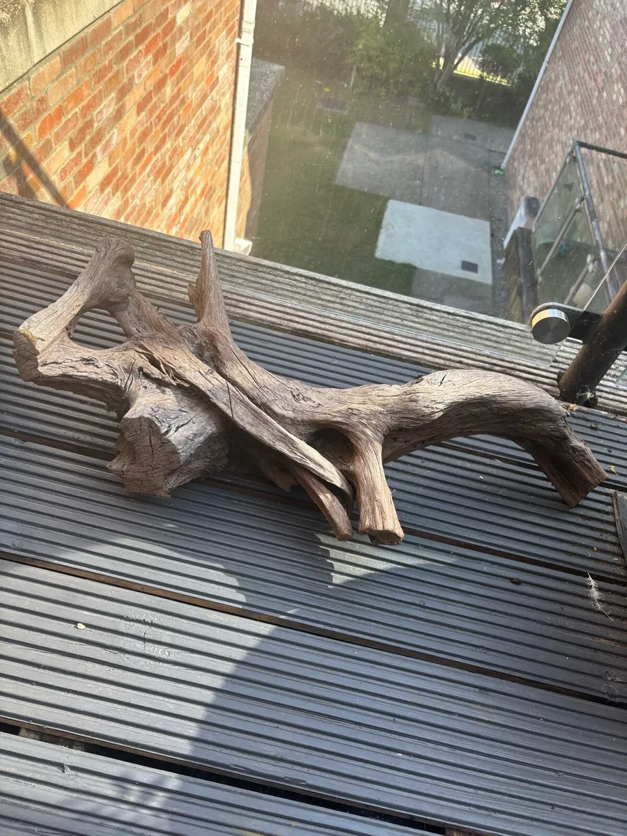 Drift wood & Aquasky LED light - Image 3