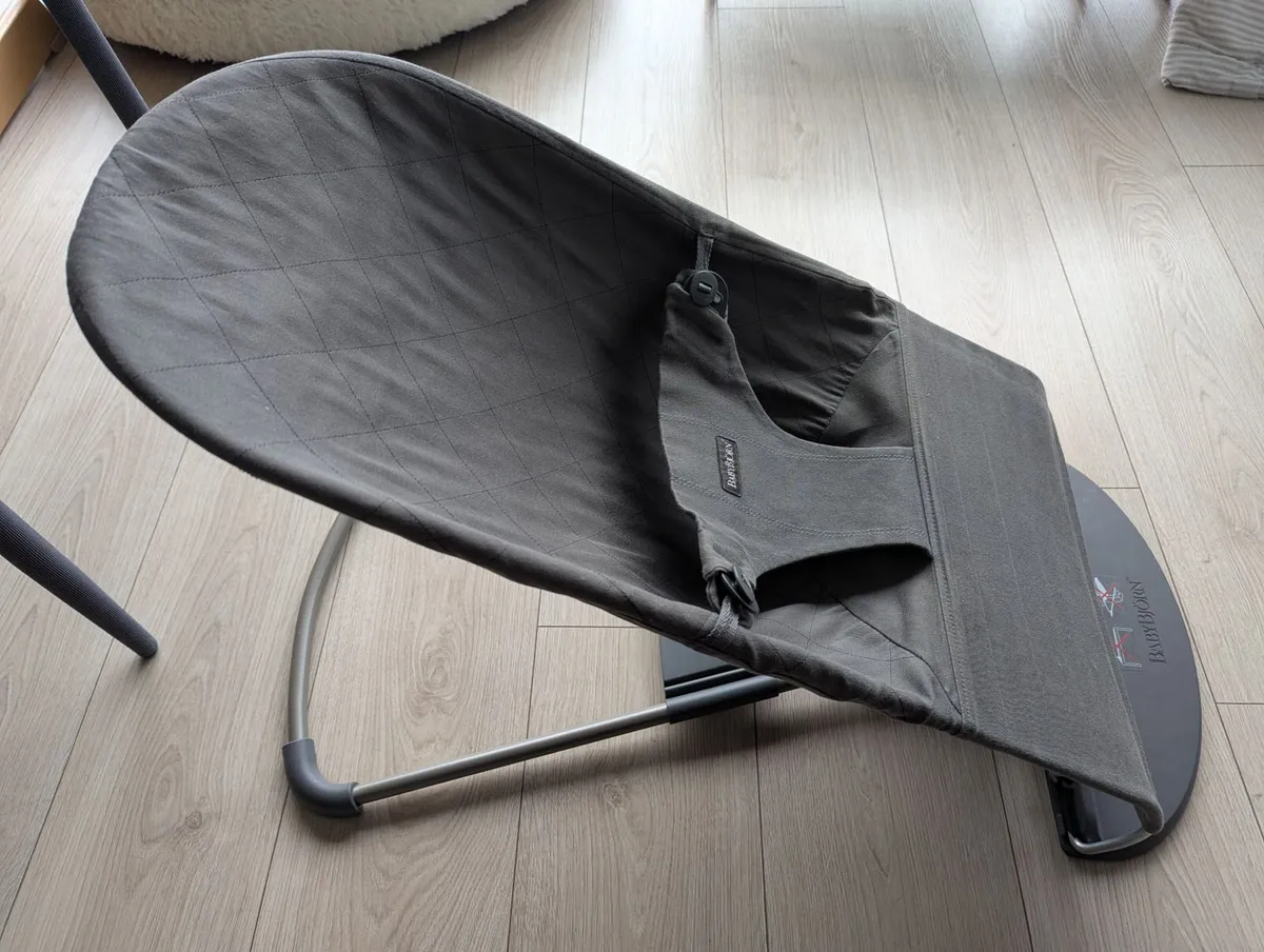 BabyBjörn Baby Bouncer - Image 2