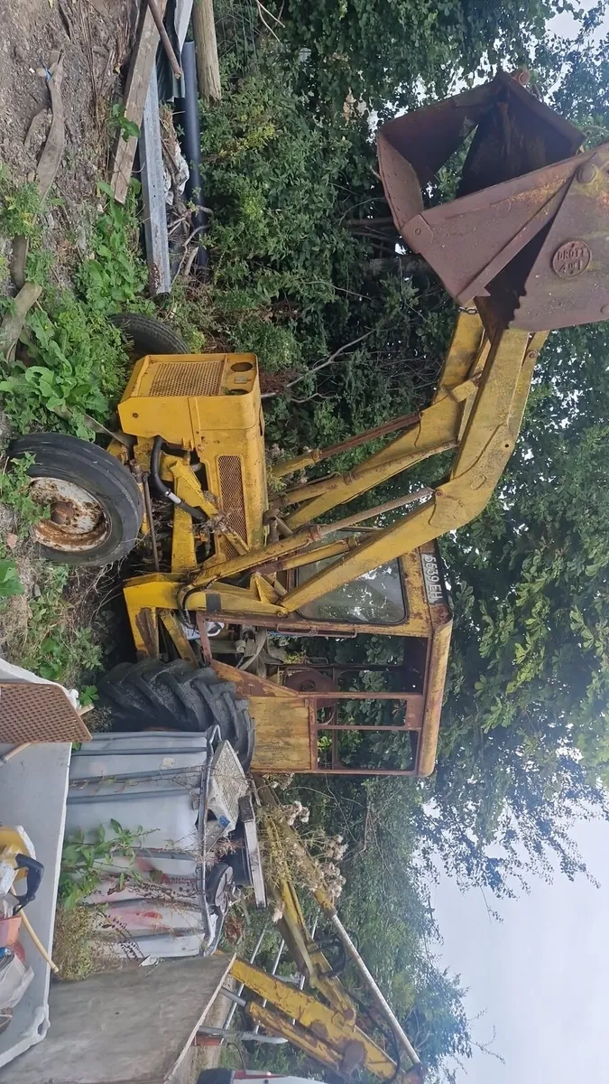Wayne Roy digger - Image 1