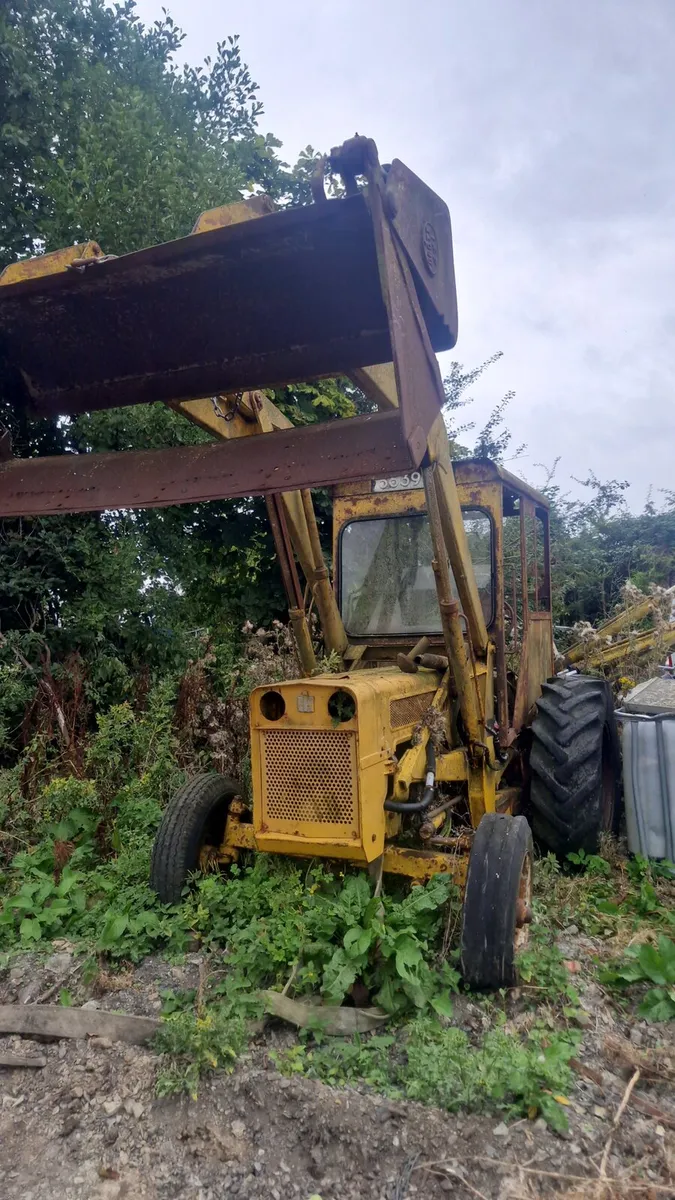 Wayne Roy digger - Image 2