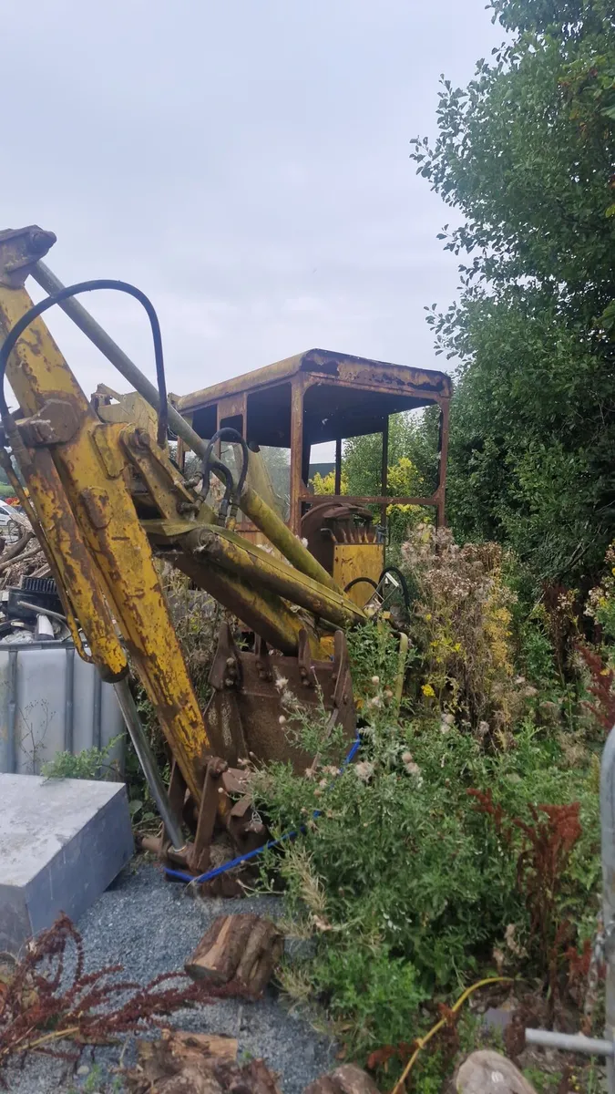 Wayne Roy digger - Image 3