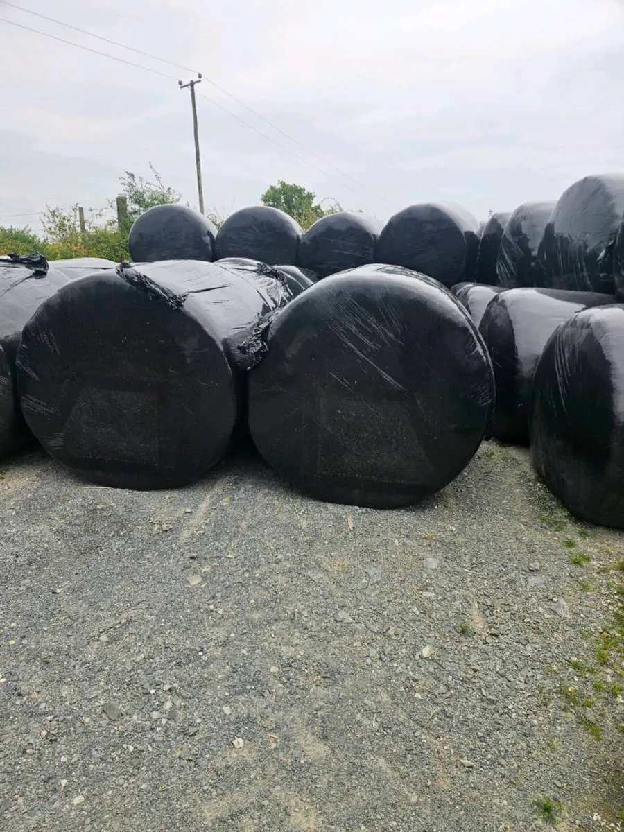 Silage