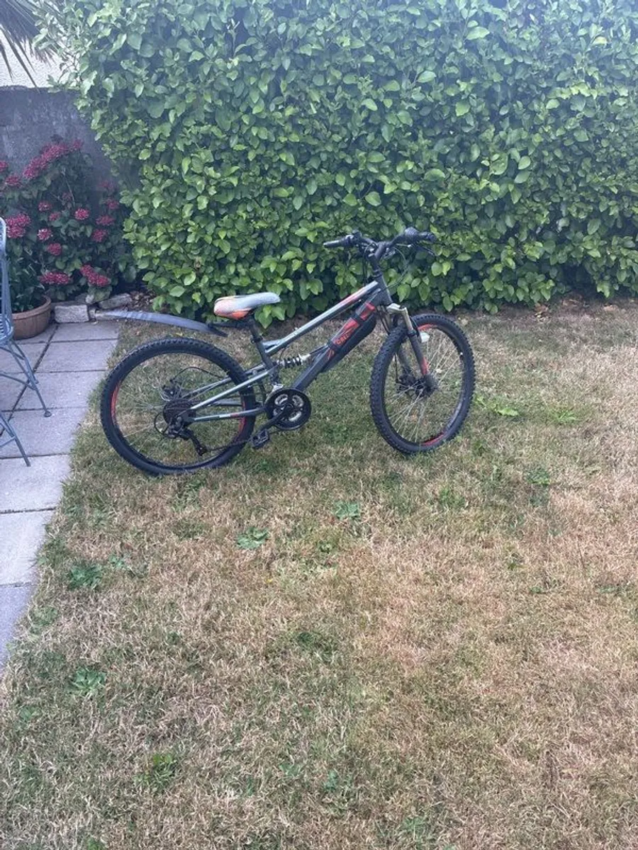 Mountain bike - Image 1