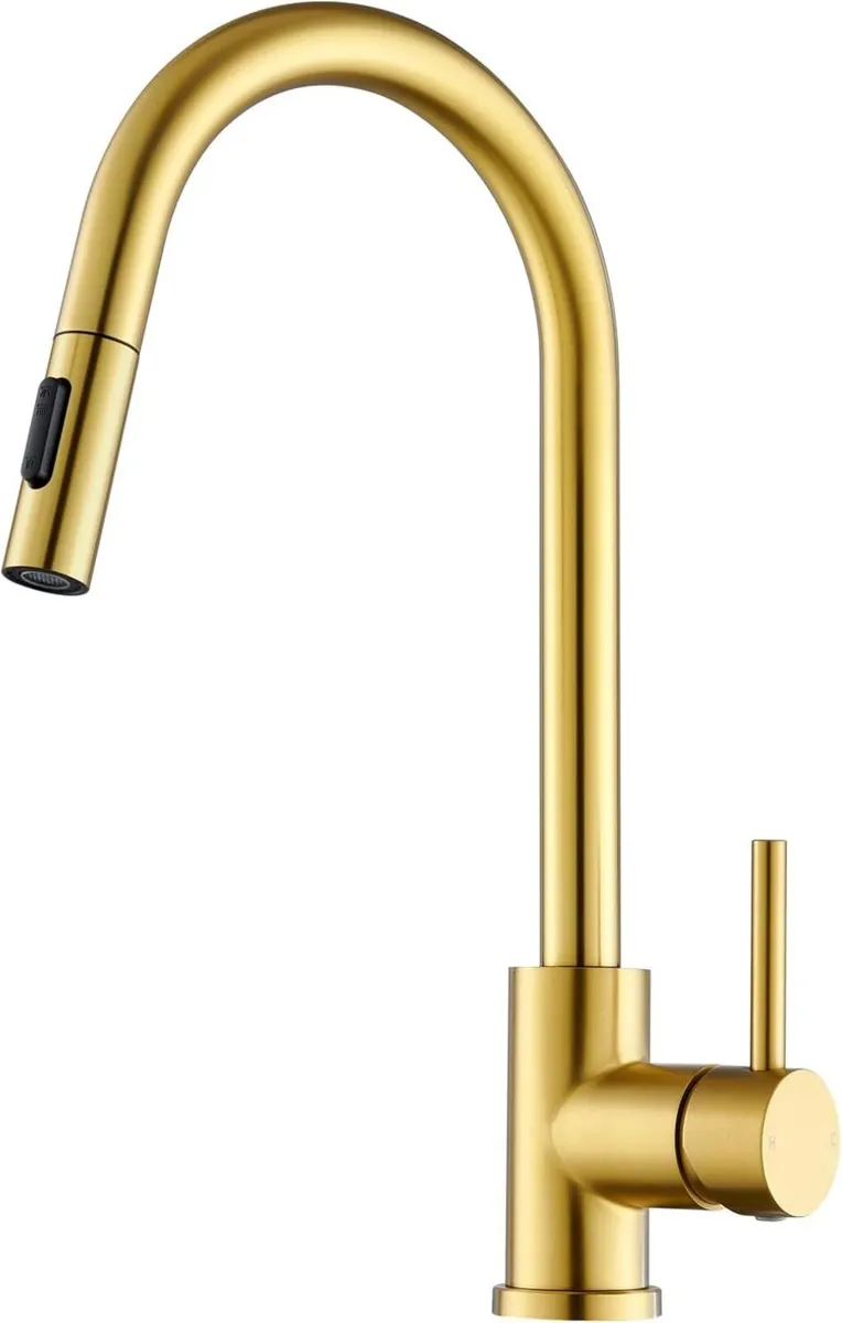 Kitchen Tap with Pull Down Sprayer - Image 1