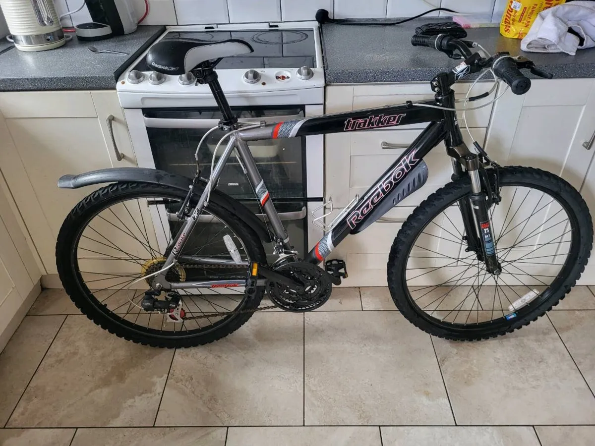 Mountain bike - Image 1