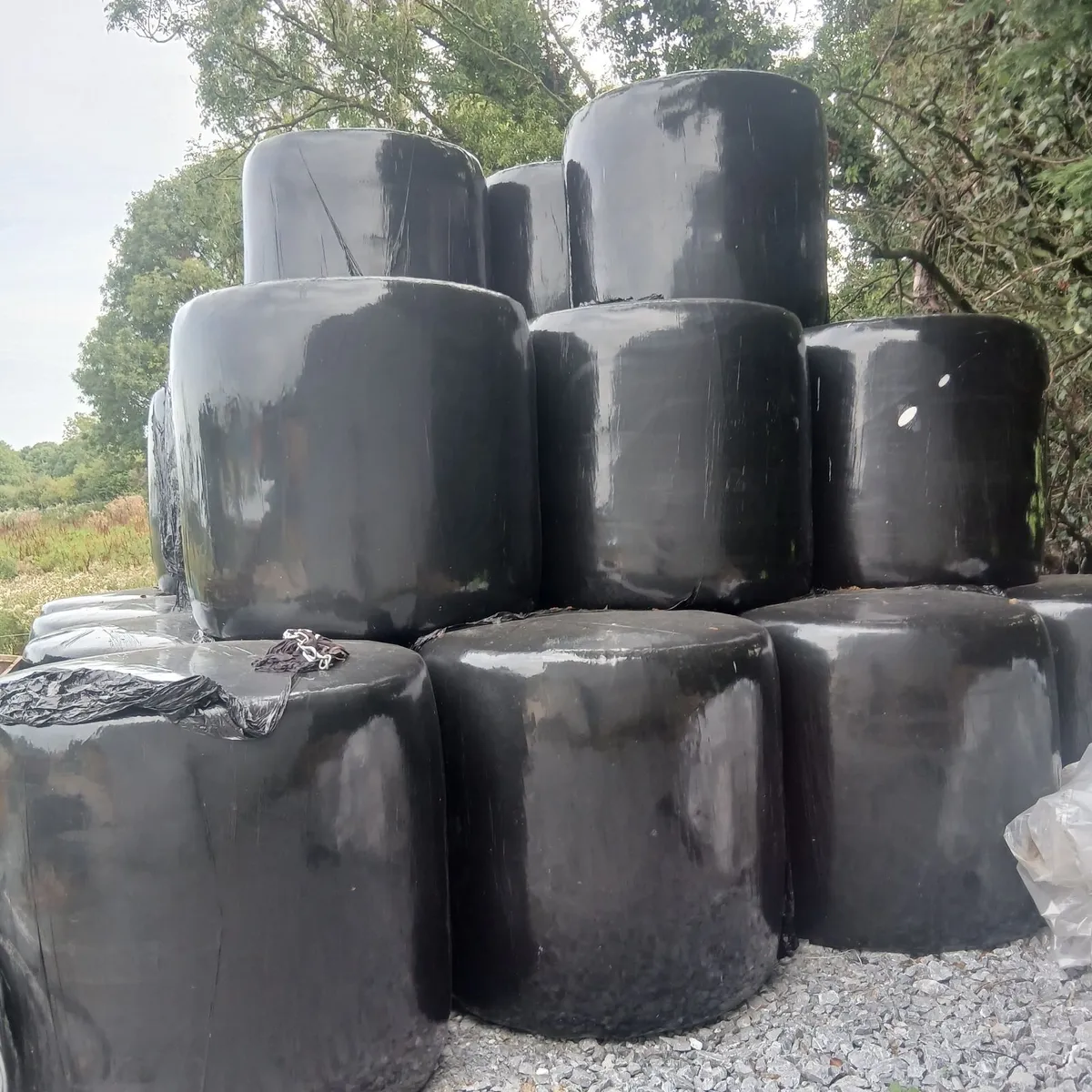 Haylage