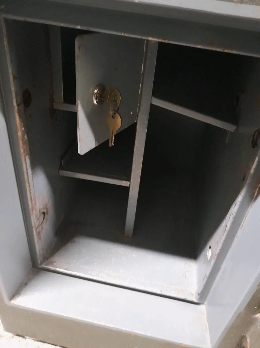 PROTECTALL FIREPROOF SAFE - Image 2