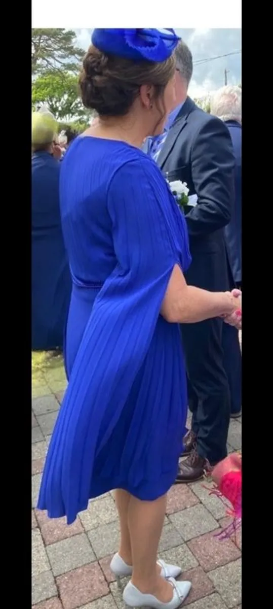 Mother of Bride Dress and Fascinator - Image 2