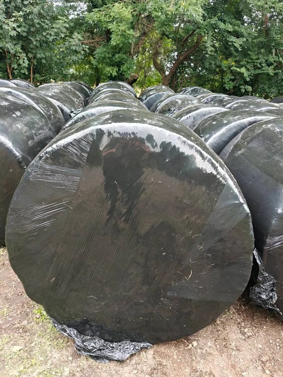 Organic Silage - Image 1