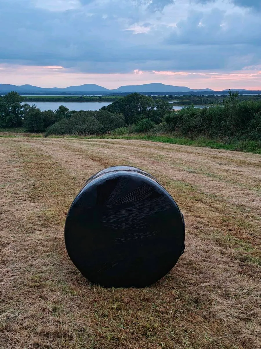 Organic Silage - Image 2