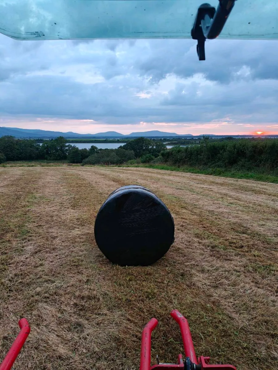 Organic Silage - Image 3