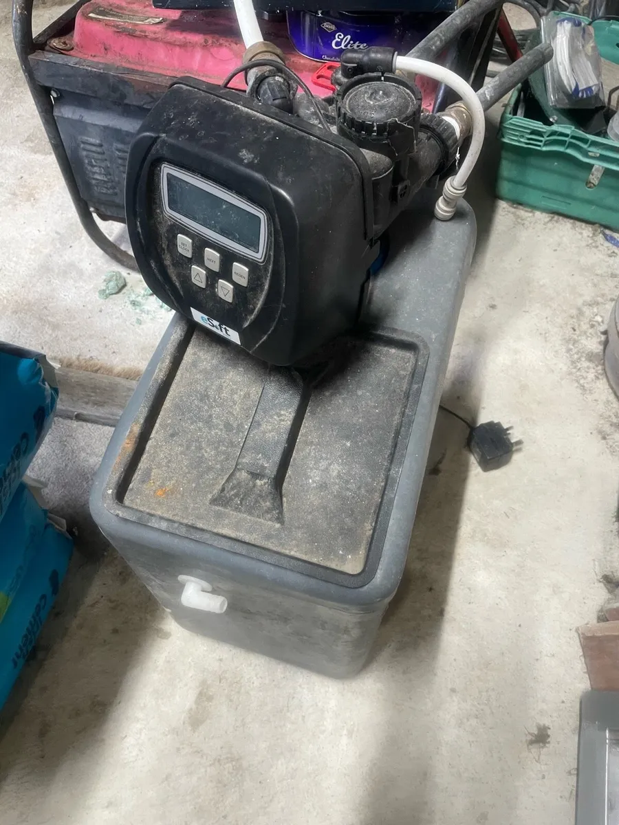 Shed clear out - Image 4