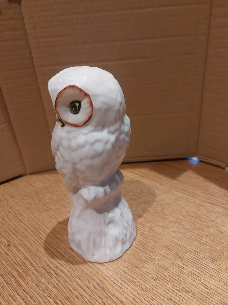 Donegal China Owl. - Image 1