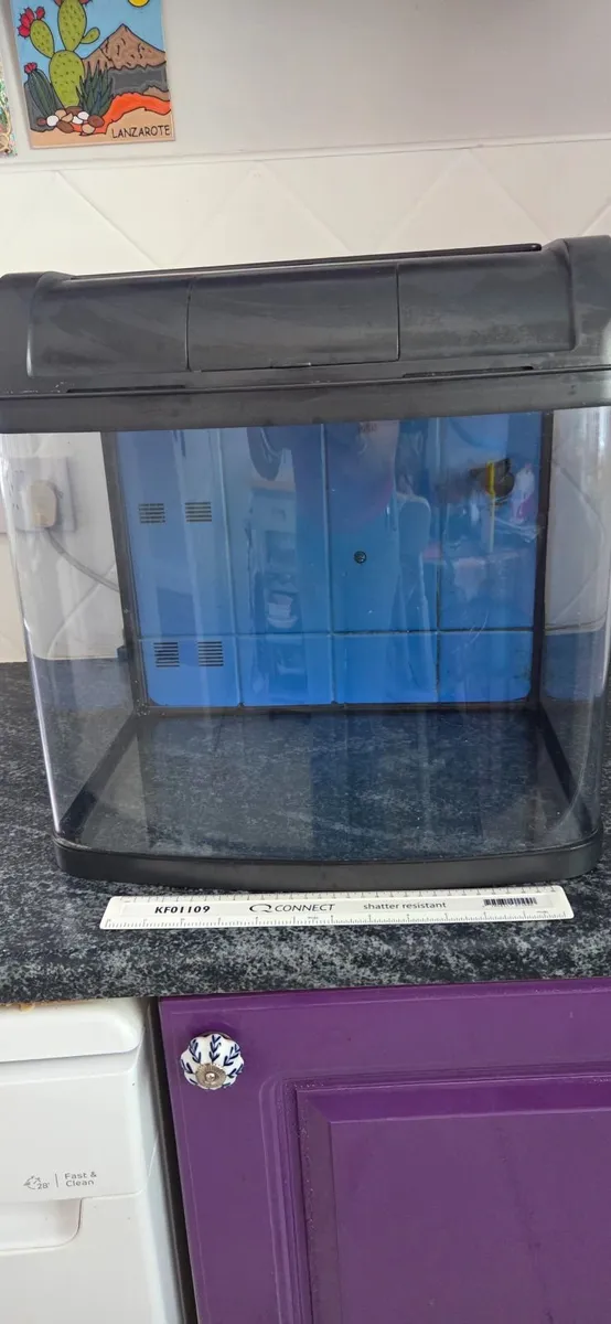 Gold fish tank - Image 1