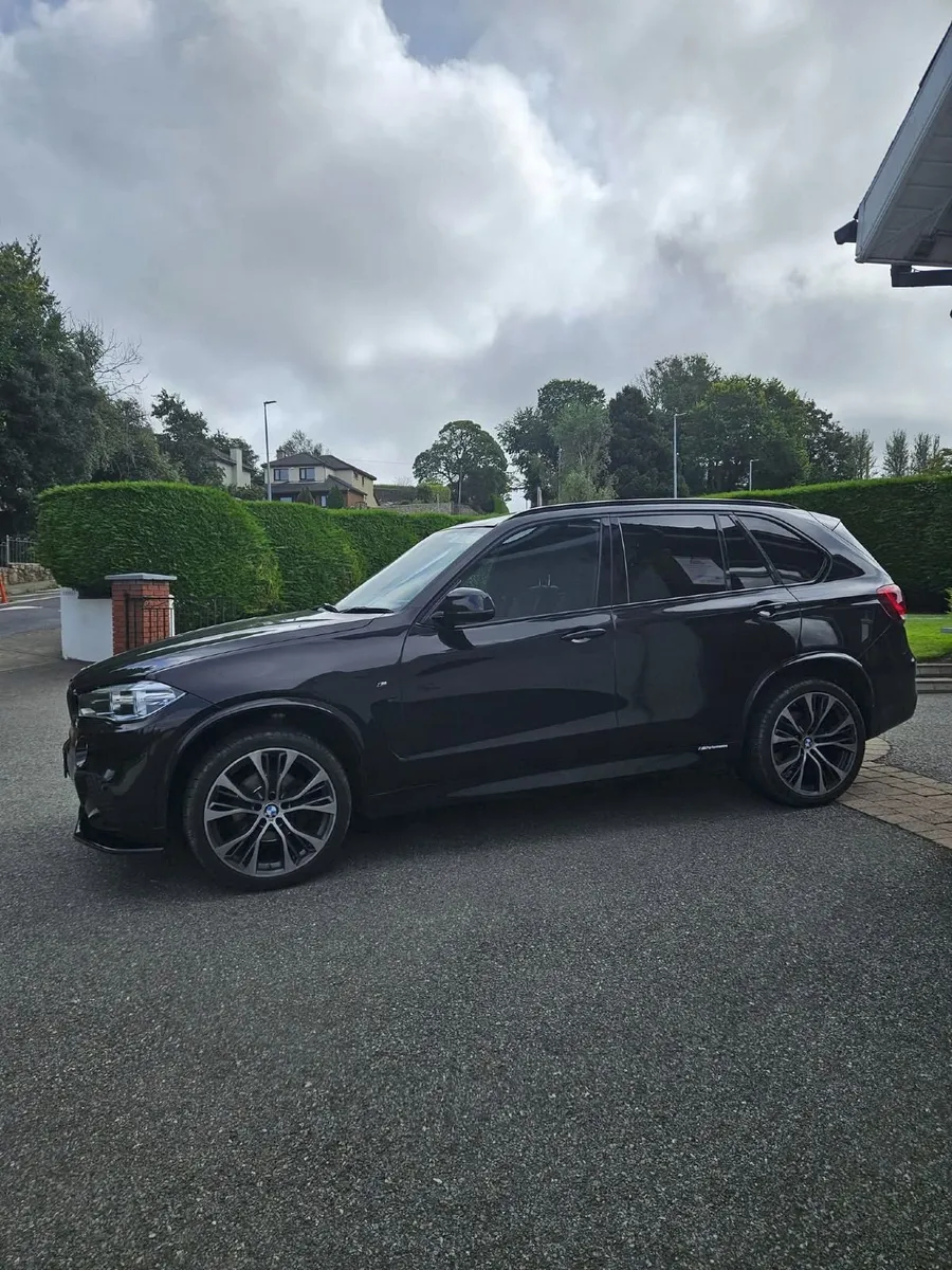 2-Seater Commercial BMW X5 2017 M-Sport - Image 4