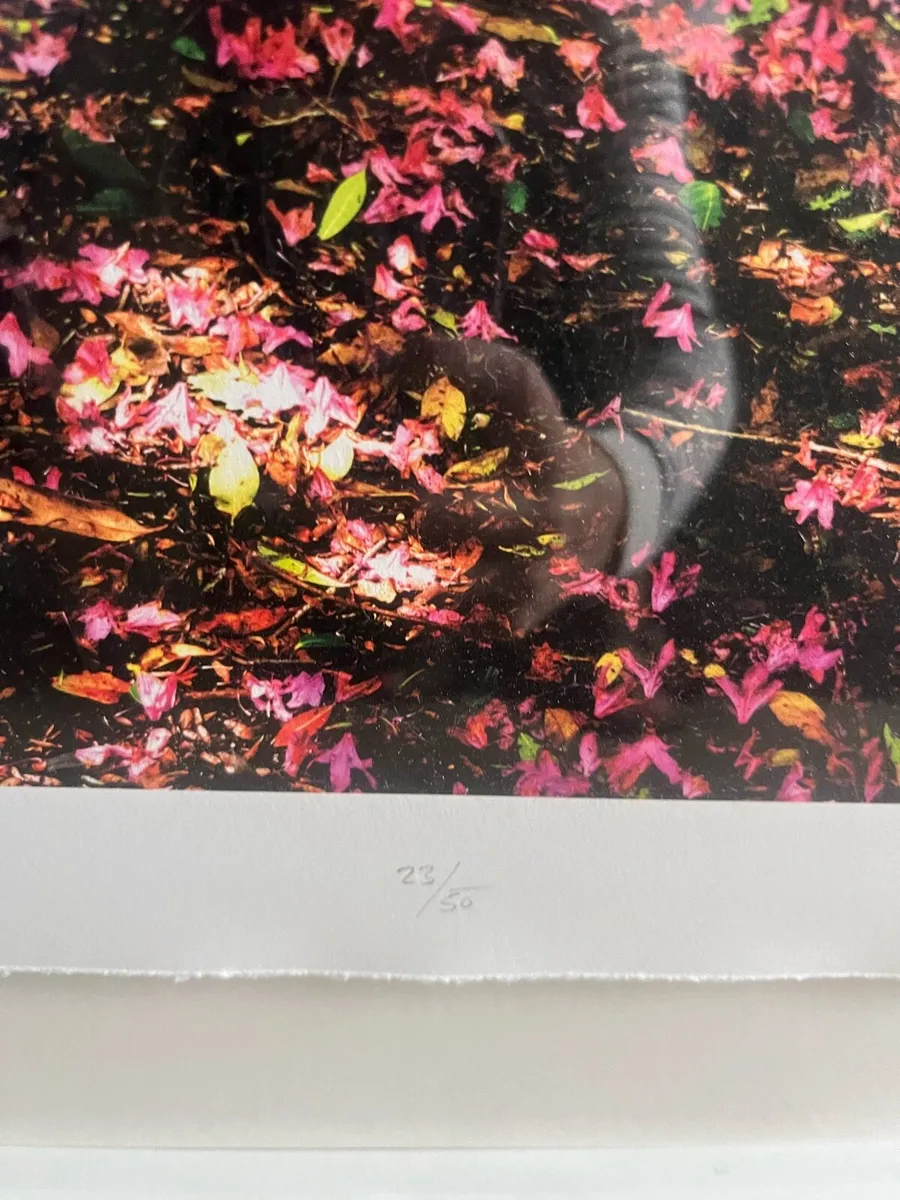 Picture - Image 4