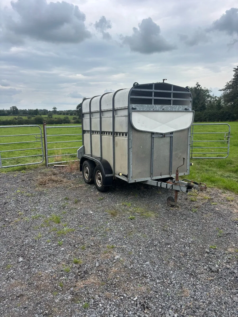 Murphy 2 cow trailer, 8x5 - Image 1