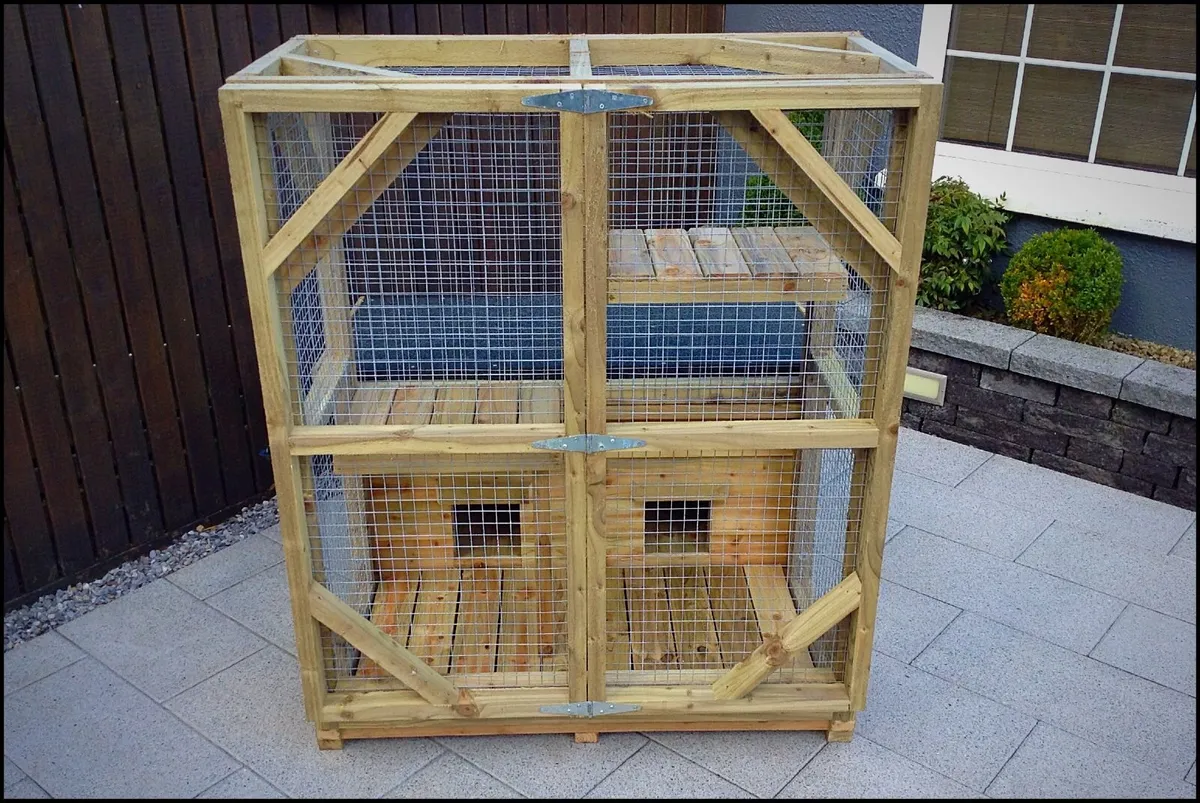 Cat/Kitten House - Image 1
