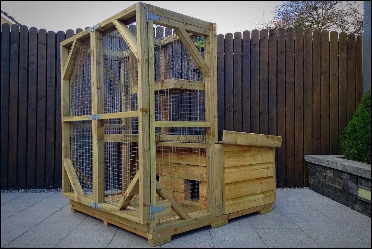 Cat/Kitten House - Image 4