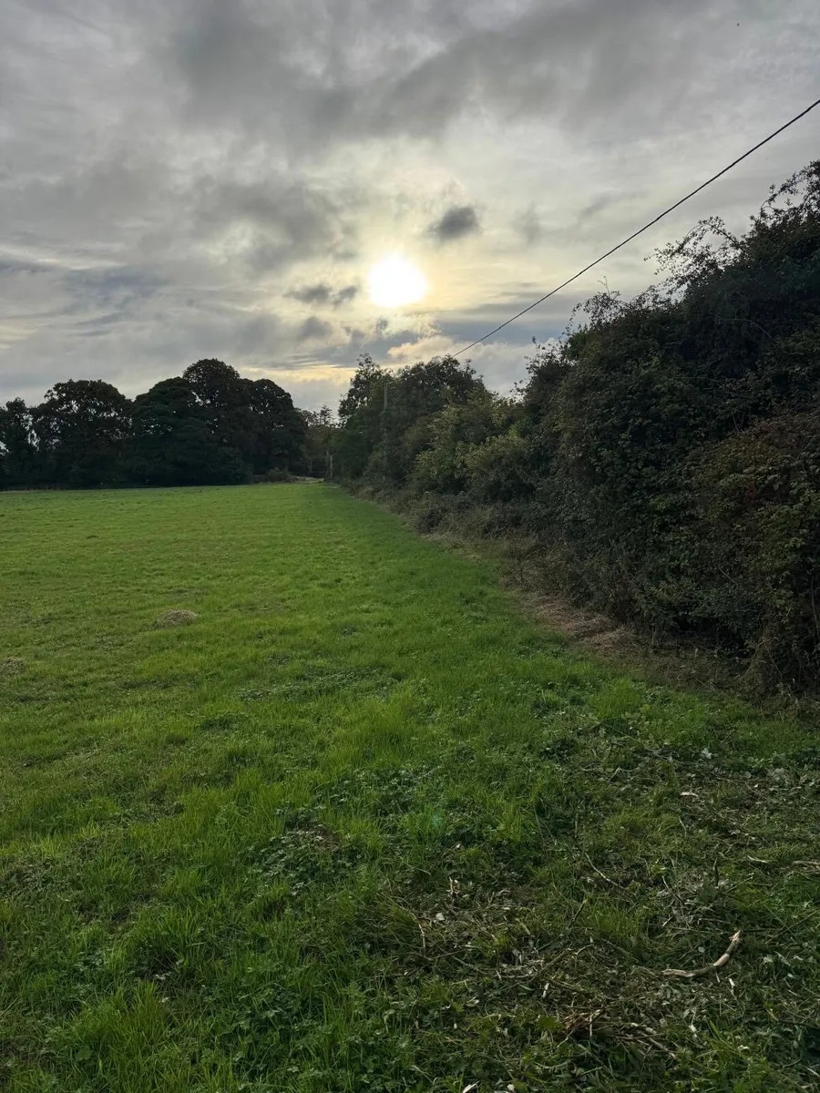 Mulching, tree shearing, Hedge cutting - Image 1