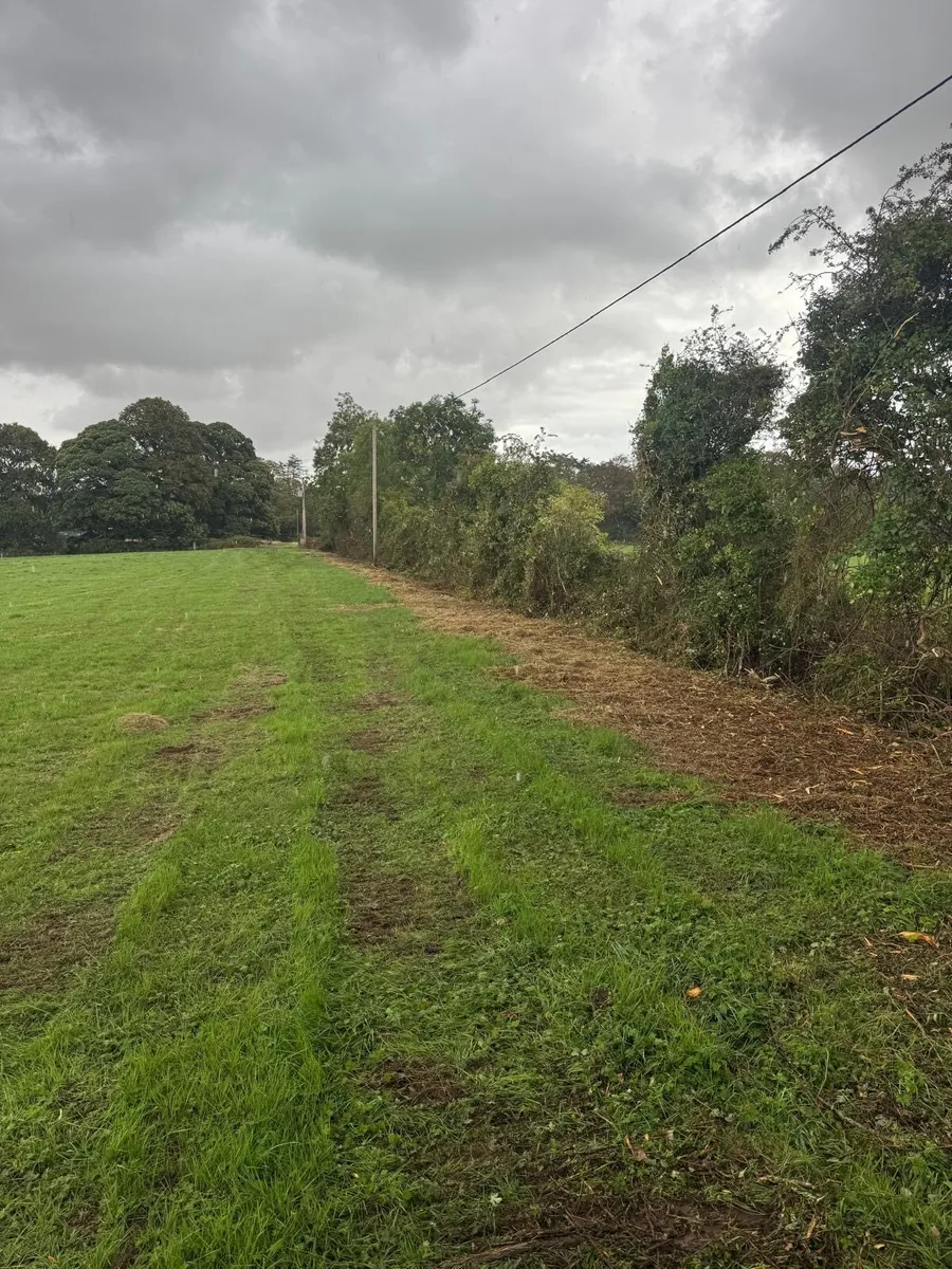Mulching, tree shearing, Hedge cutting - Image 2