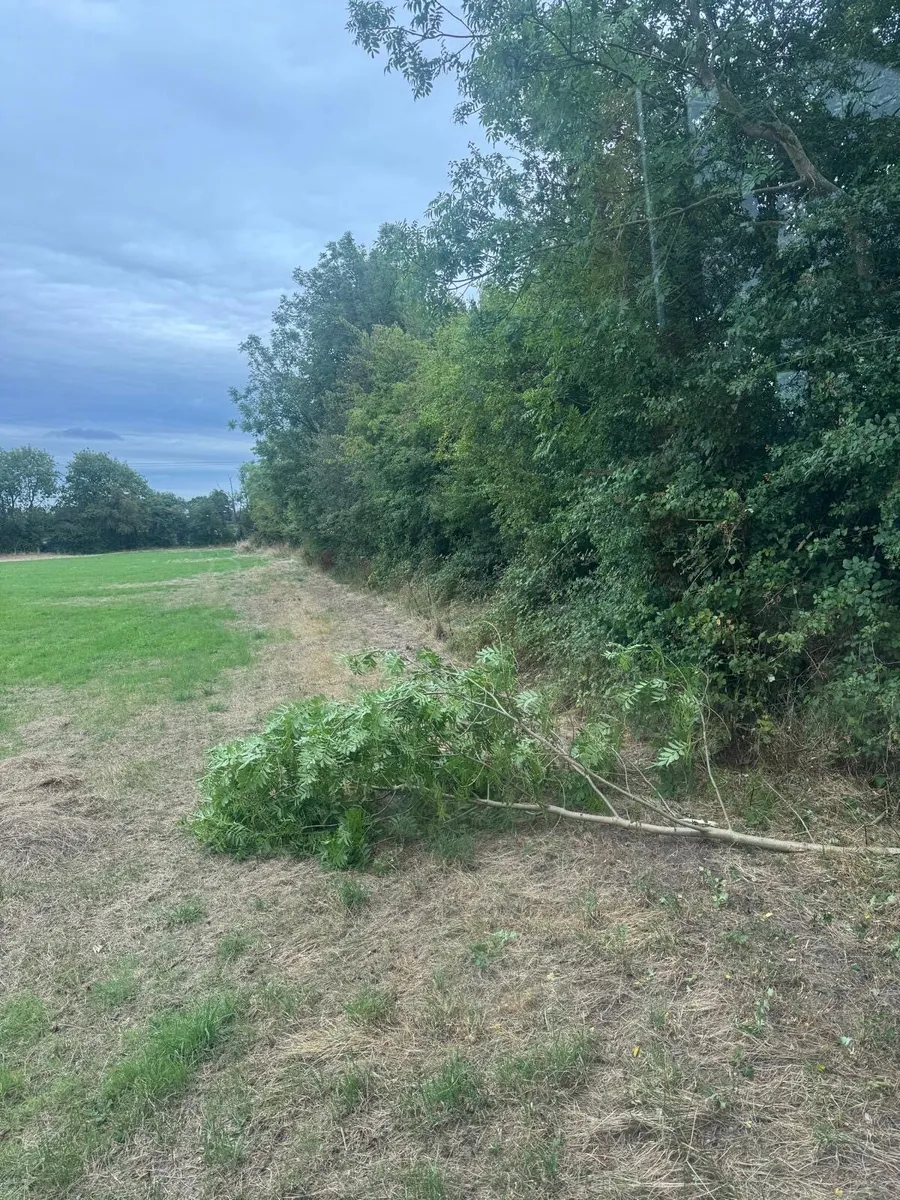 Mulching, tree shearing, Hedge cutting - Image 3