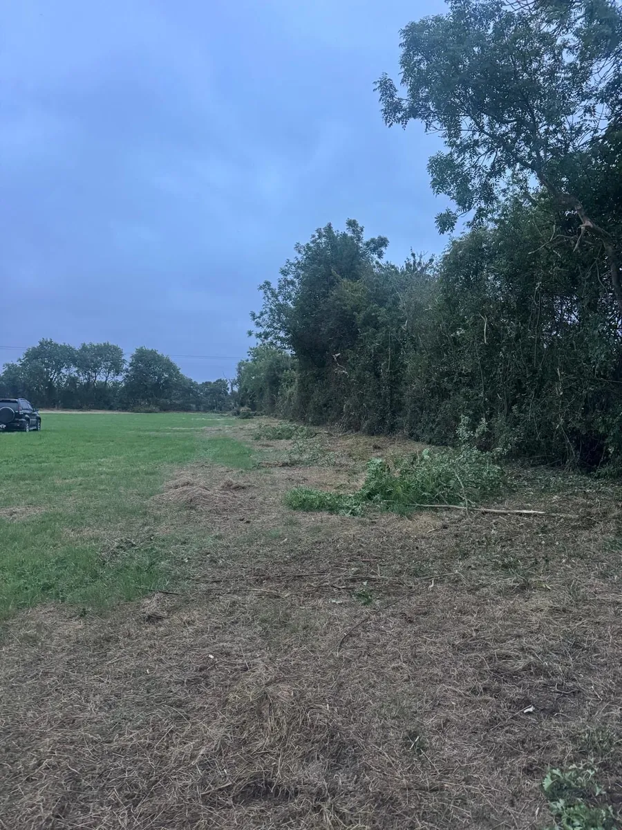 Mulching, tree shearing, Hedge cutting - Image 4