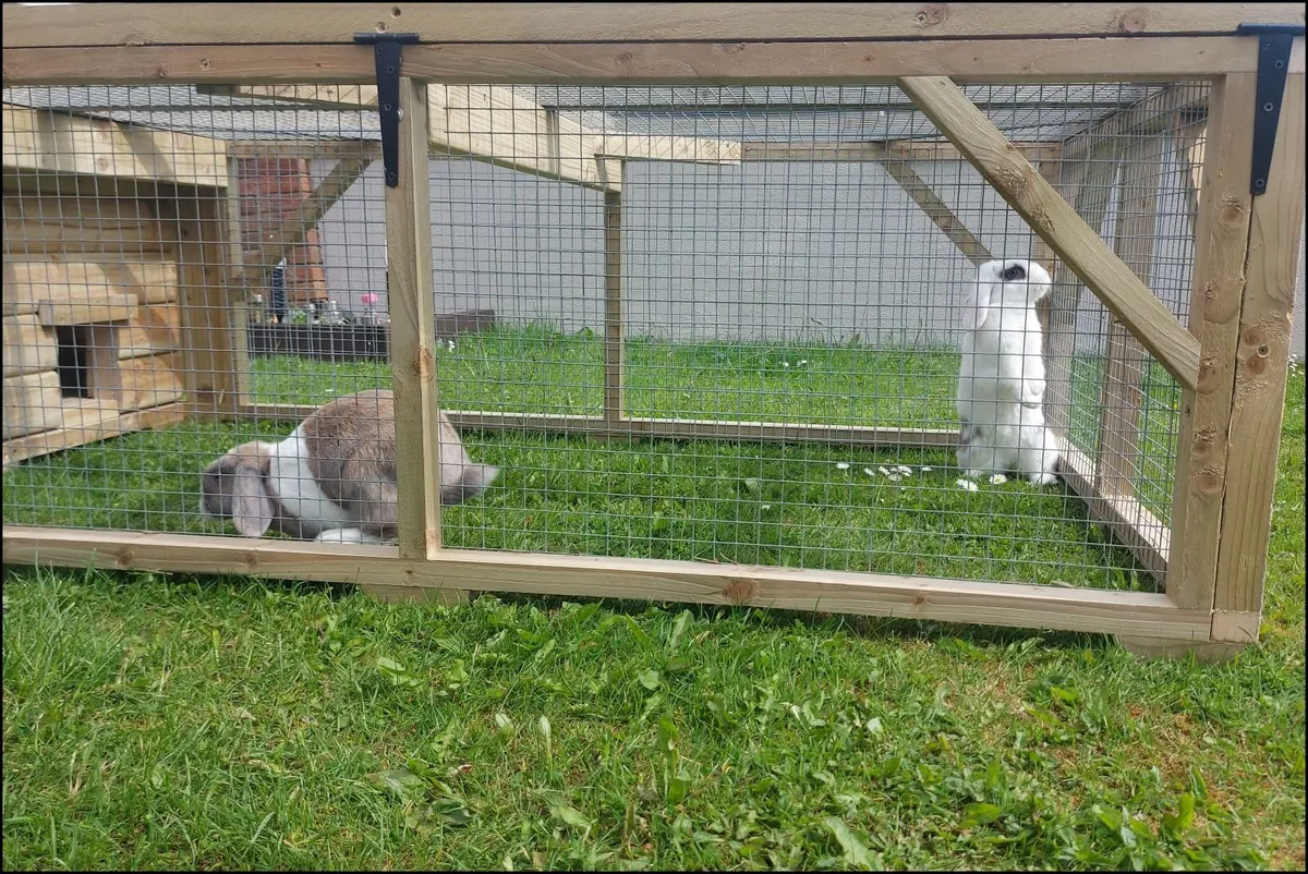 Rabbit Enclosure - Image 1