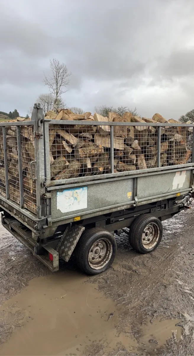 Firewood - Image 2