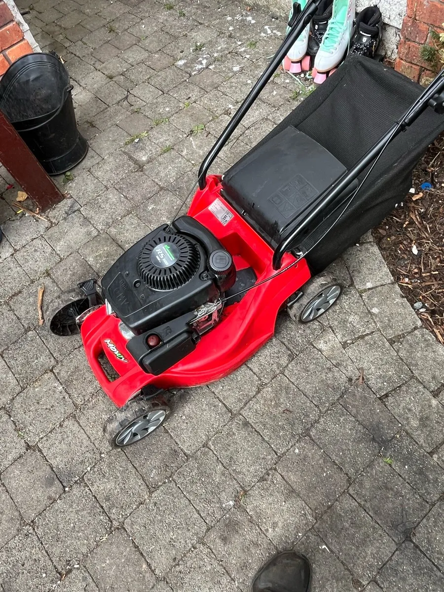 Lawnmower - Image 1