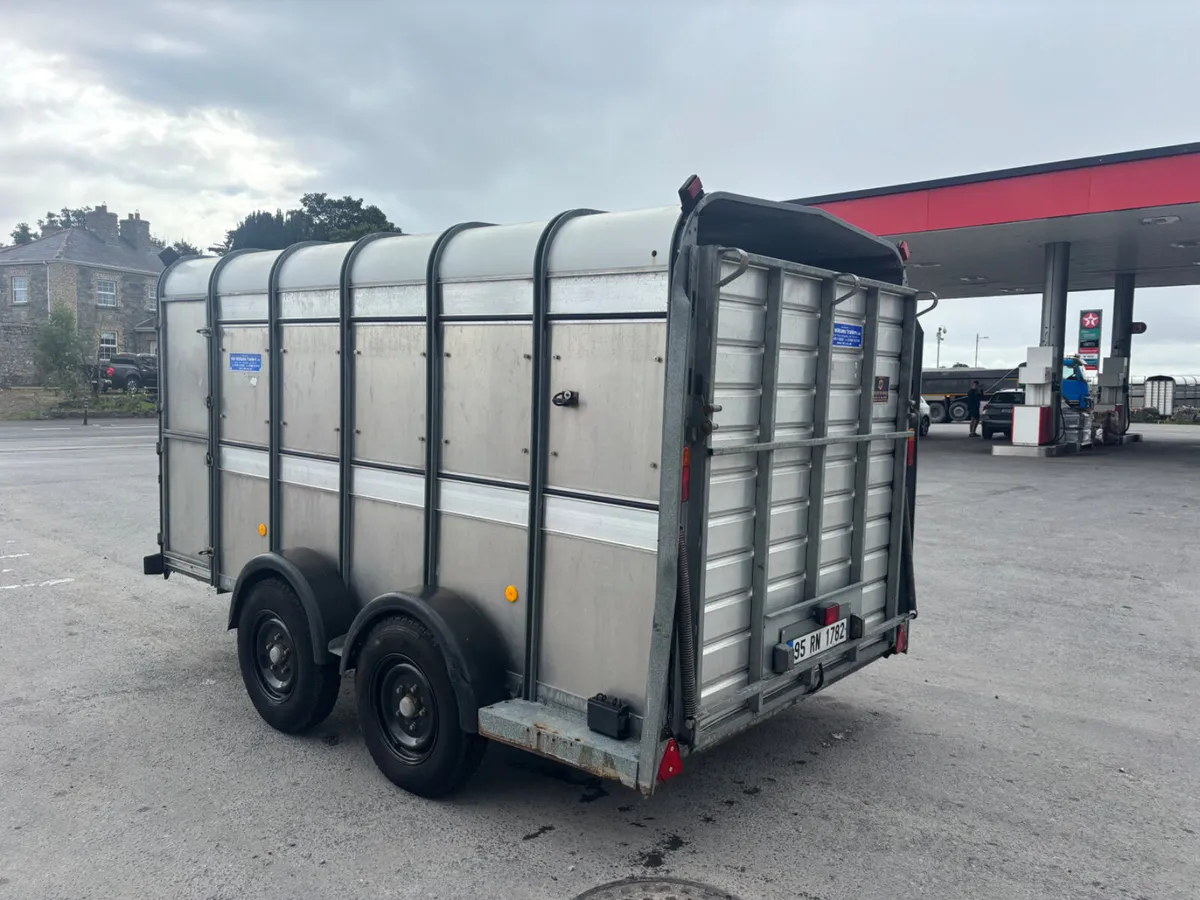 ifor williams ta510 12ft - Image 3