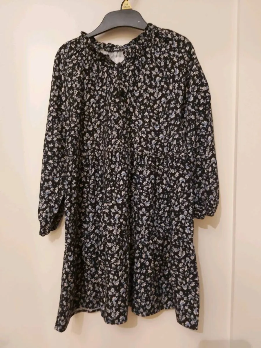 Zara Dress - Image 1