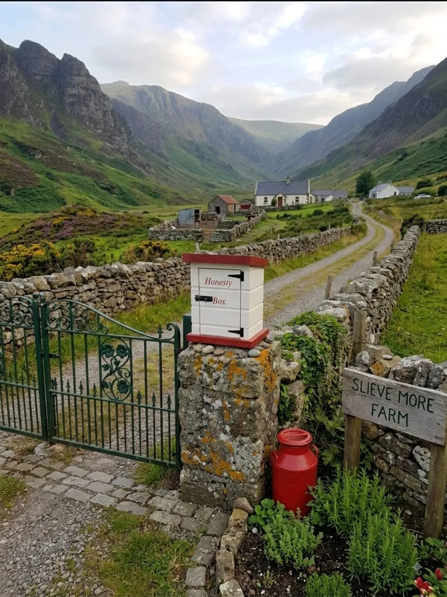 Small Honesty box🥚🥚🍞🍞🥕🥕🍅🍅 - Image 1