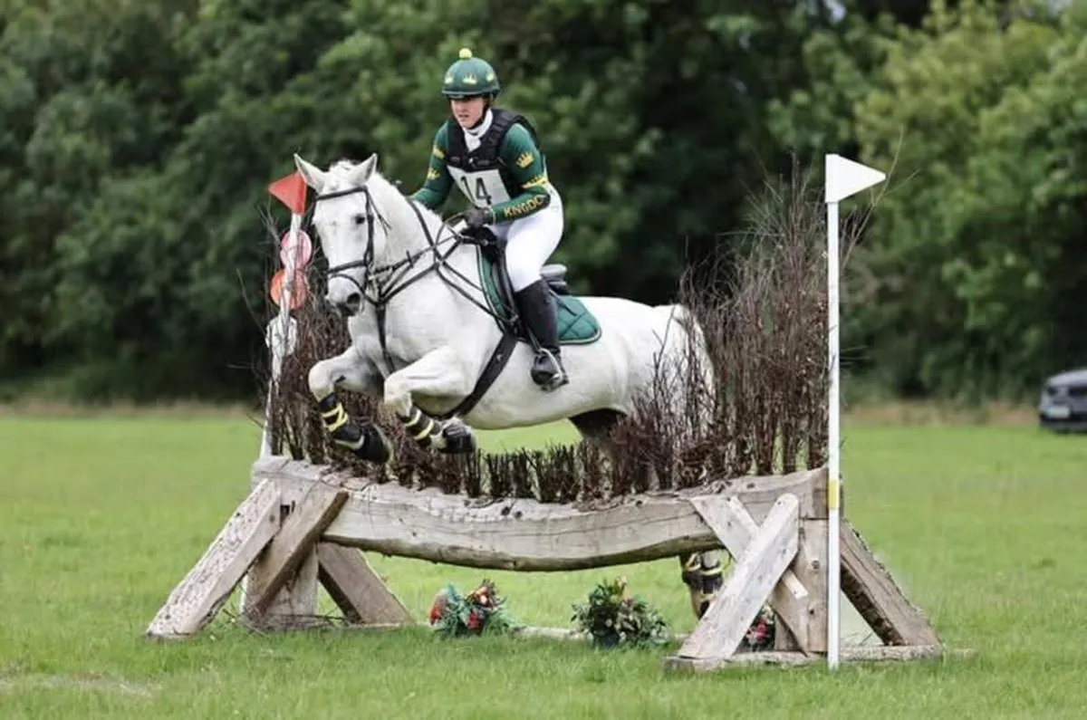 15.2hh Grey Mare - Image 4