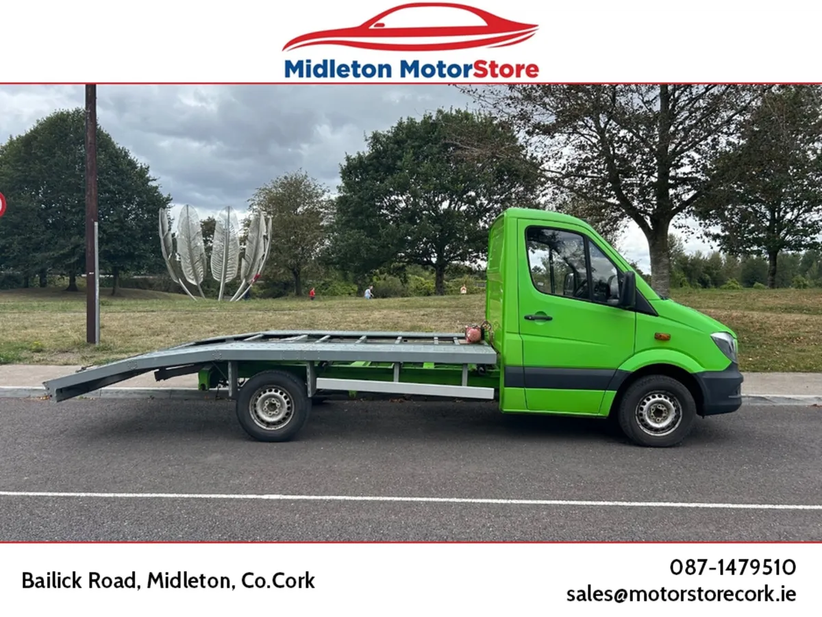 Mercedes-Benz Sprinter CDI 2DR C/W BEAV BEAVERTAIL - Image 3