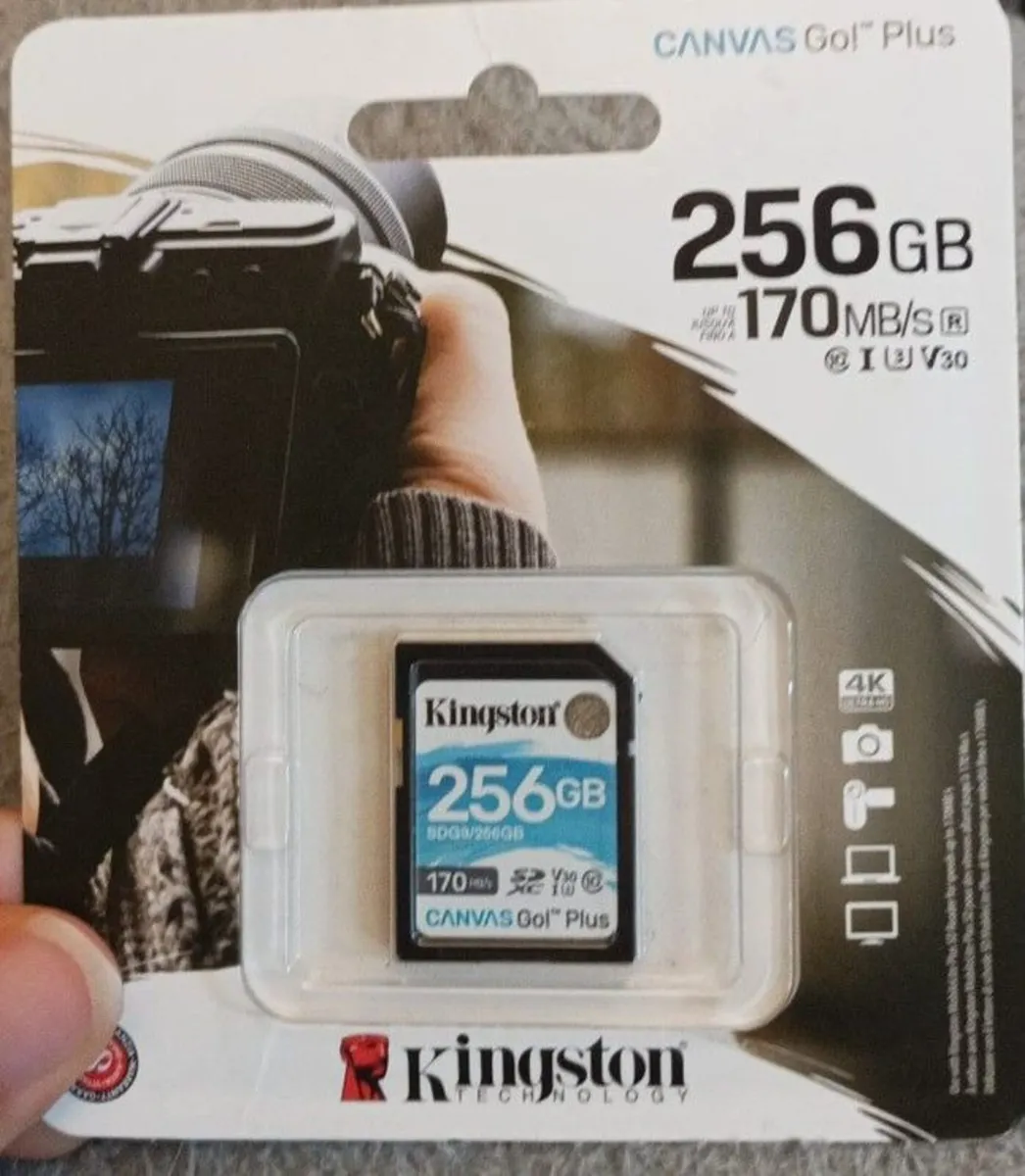 Kingston Canvas Go! Plus SD card 256GB