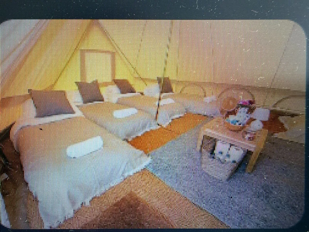 EP 2026 Pink Moon 3 person and 5 person bell tents - Image 1