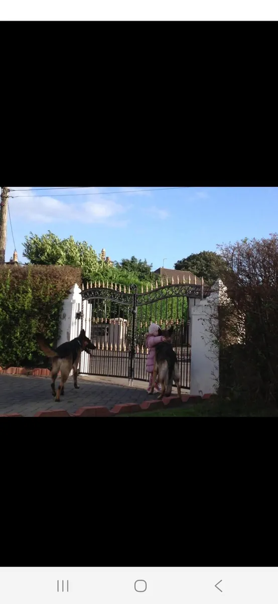 GALVANISED GATES - Image 2