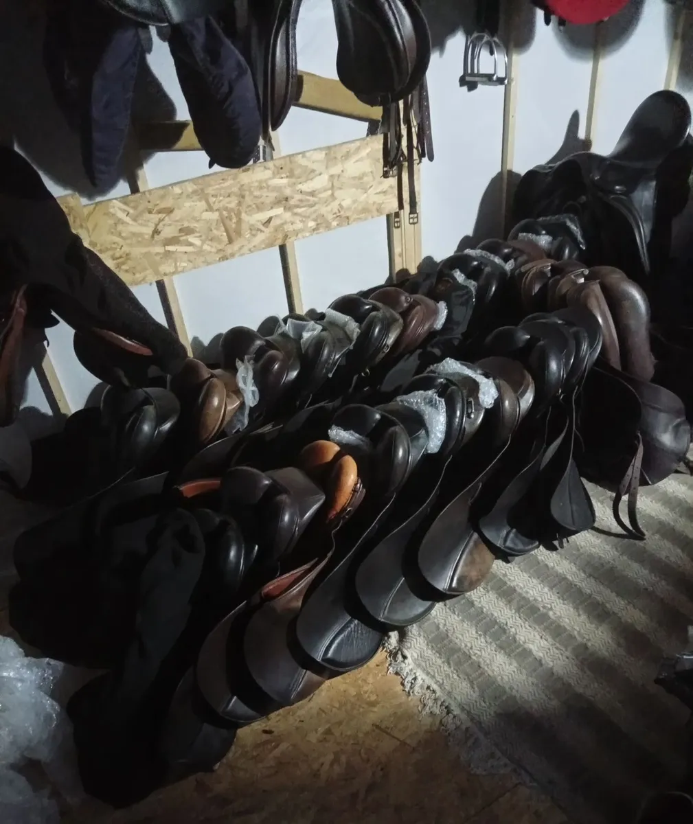 Sale saddles - Image 1